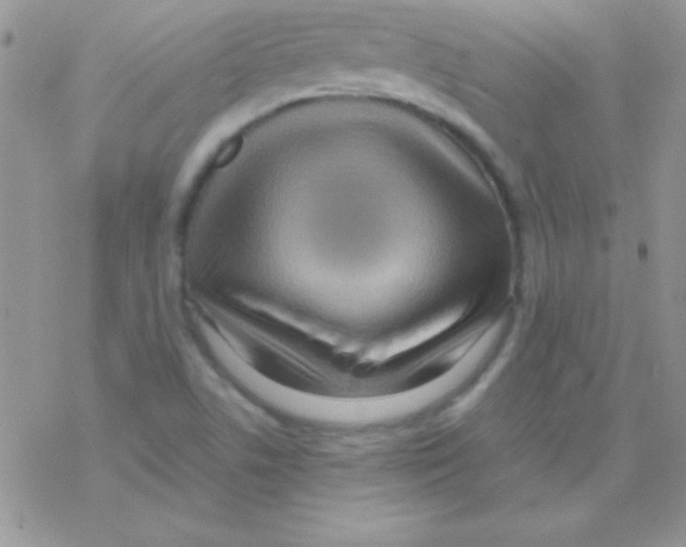 X0000077381506200611172001