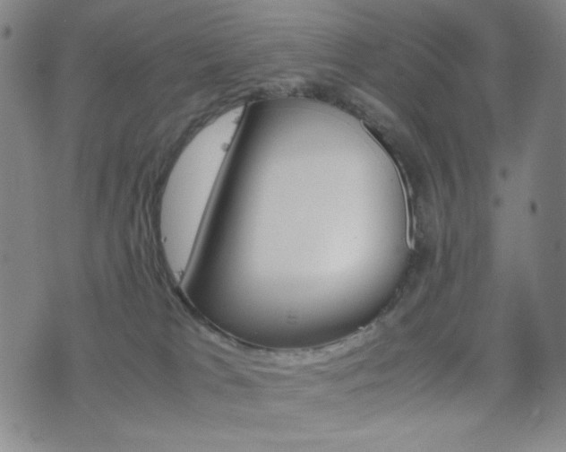 X0000077390037200610201026