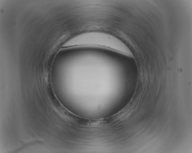 X0000077390072200610201025