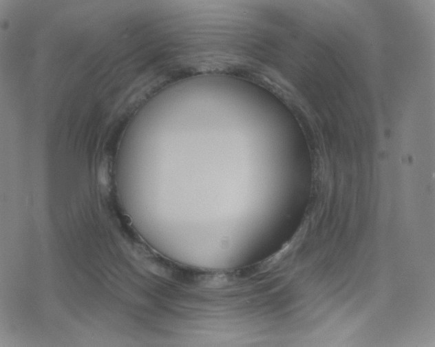X0000077390074200610201025