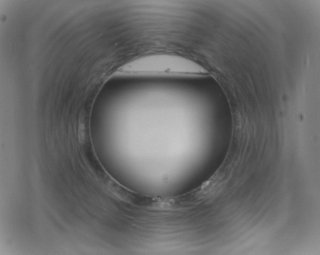 X0000077390080200610201025