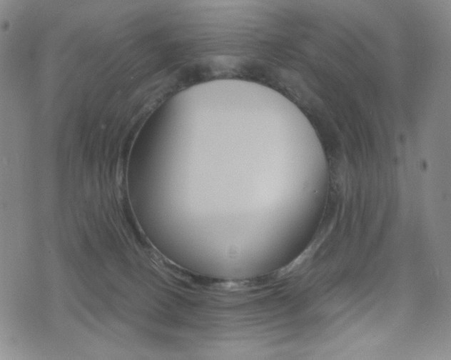 X0000077390082200610201025