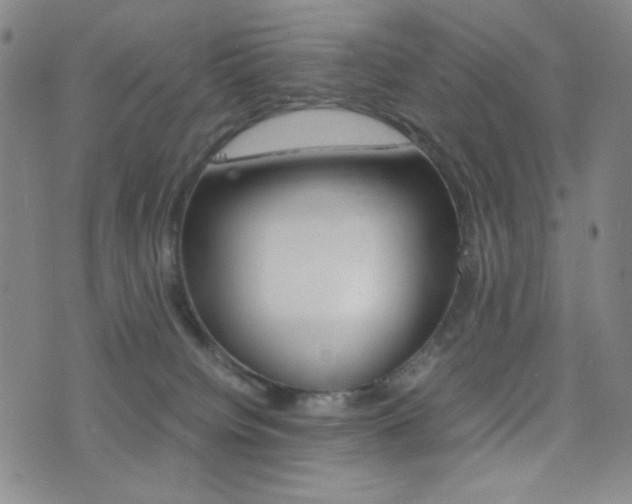 X0000077390084200610201025