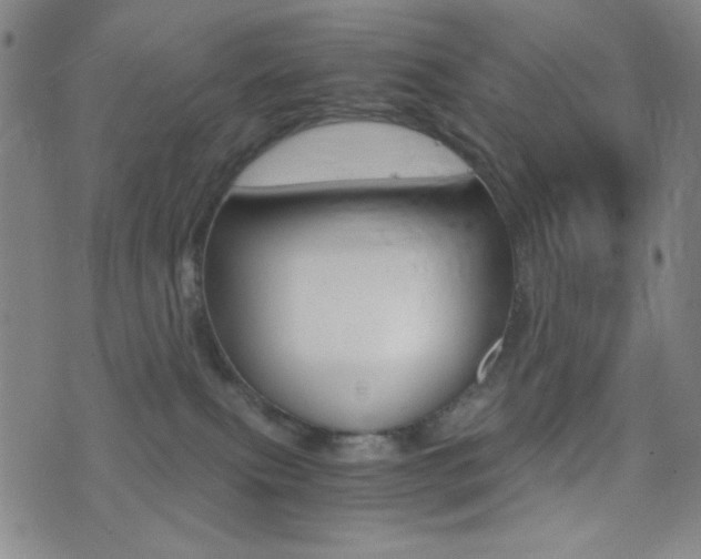 X0000077390087200610201025