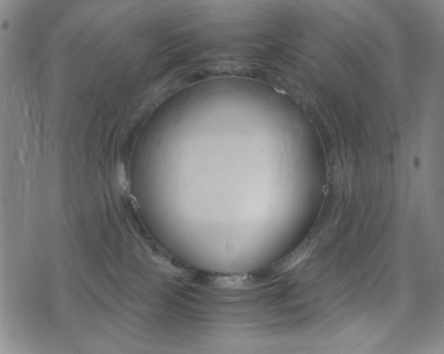 X0000077390089200610201025