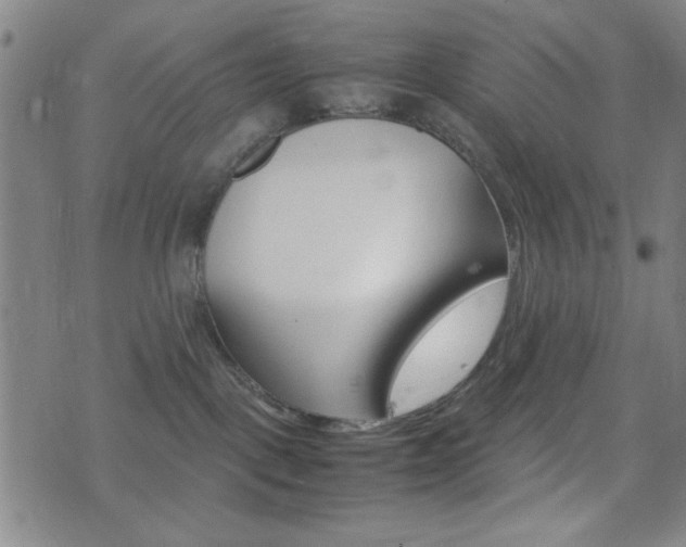 X0000077390093200610201025