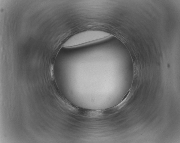 X0000077390094200610201025