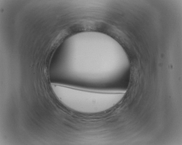 X0000077390123200610201024