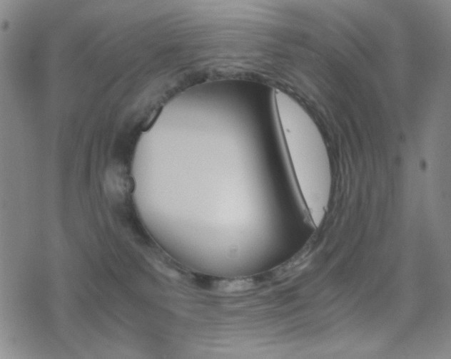 X0000077390135200610201024