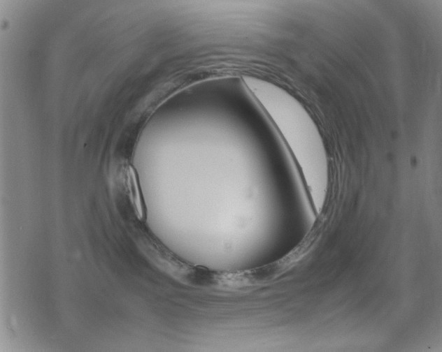 X0000077390141200610201024