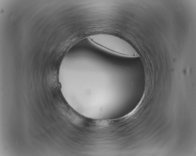 X0000077390144200610201024