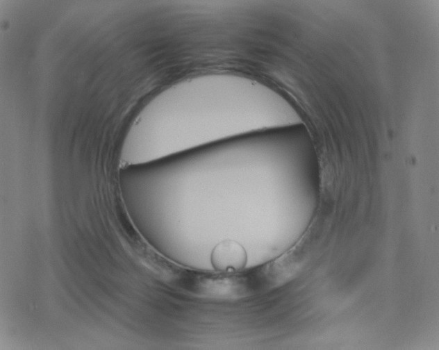 X0000077390171200610201024