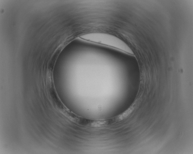 X0000077390172200610201024