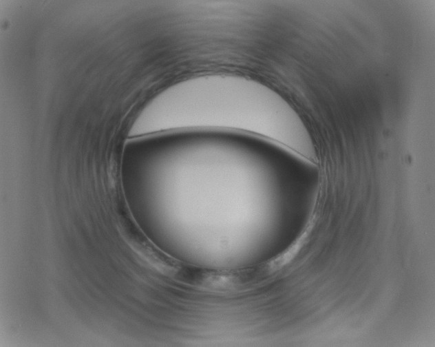 X0000077390174200610201024