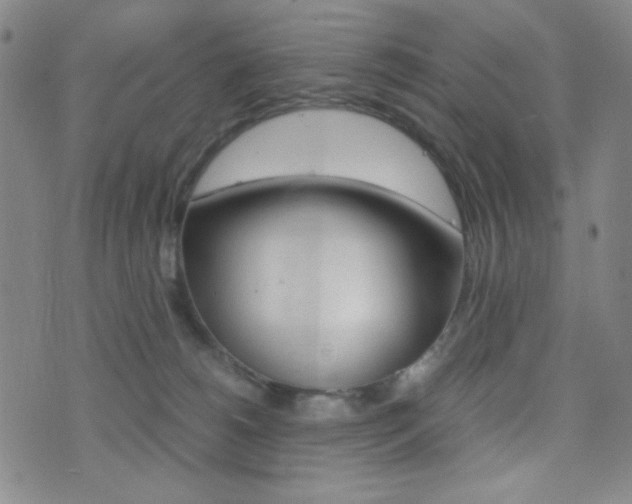X0000077390180200610201024