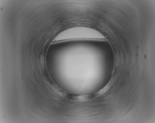 X0000077390184200610201024