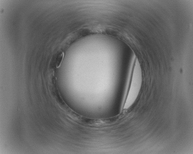 X0000077390229200610201023