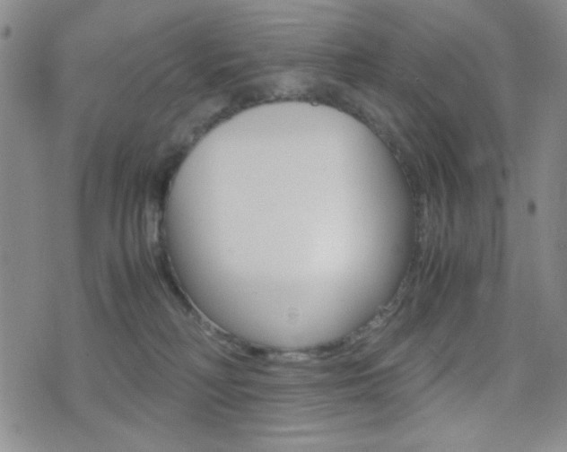 X0000077390230200610201023