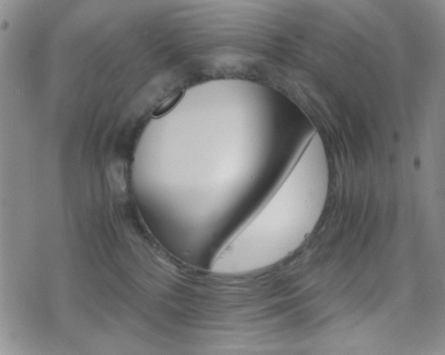 X0000077390232200610201023