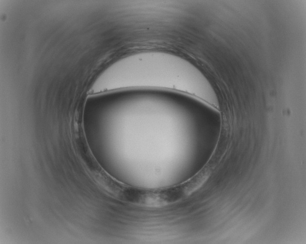 X0000077390264200610201022