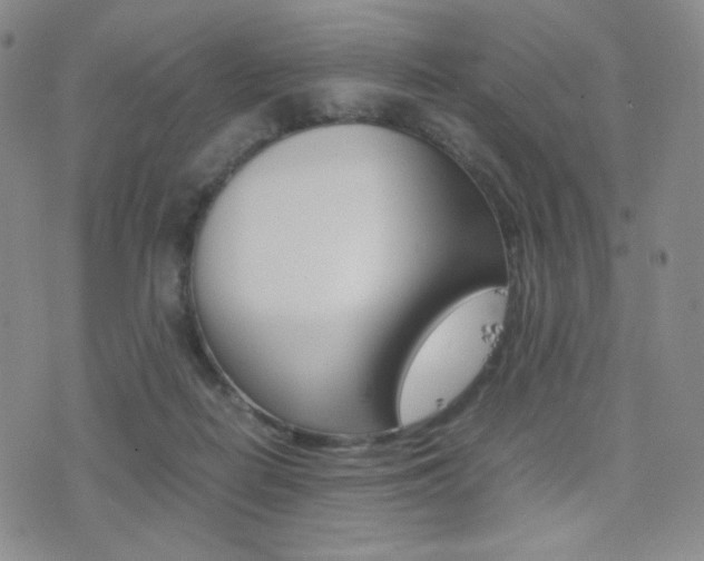X0000077390266200610201022