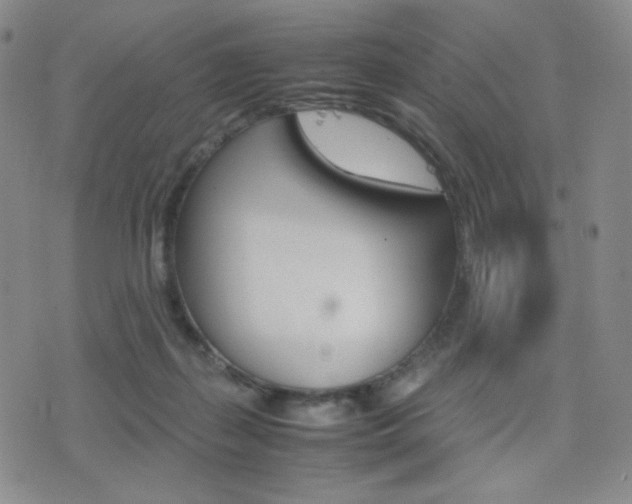 X0000077390267200610201022