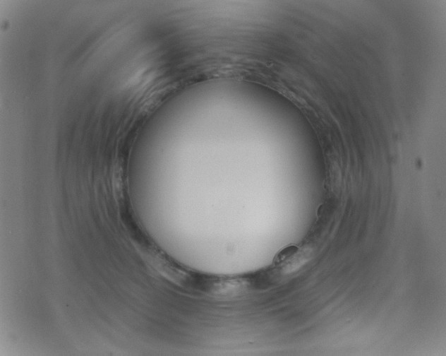 X0000077390274200610201022