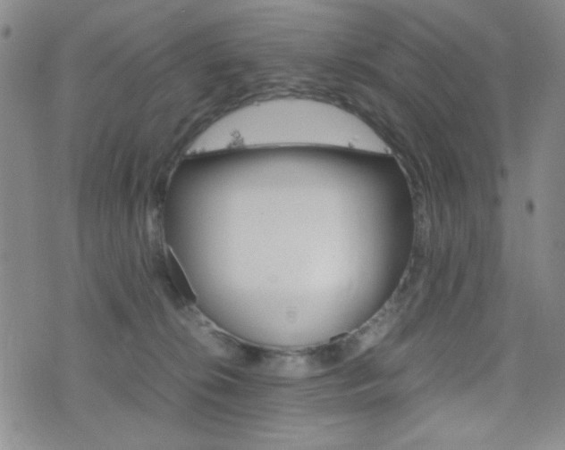 X0000077390276200610201022