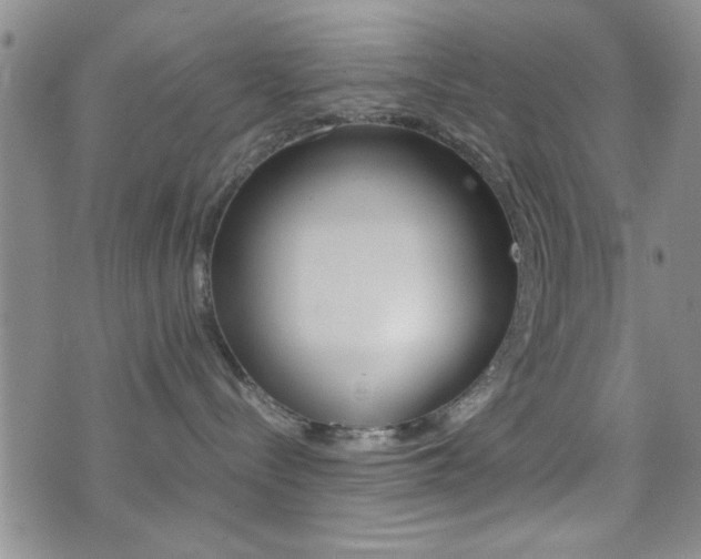 X0000077390288200610201022