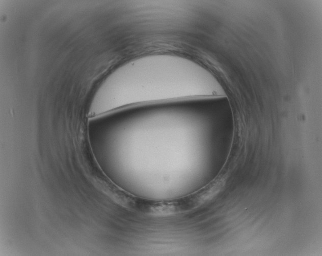 X0000077390362200610201020
