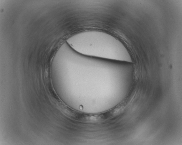 X0000077390365200610201021