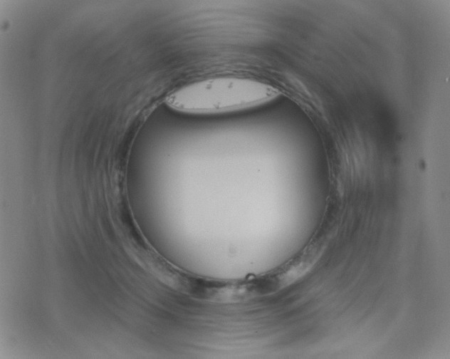 X0000077390366200610201021