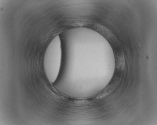 X0000077390414200610201020