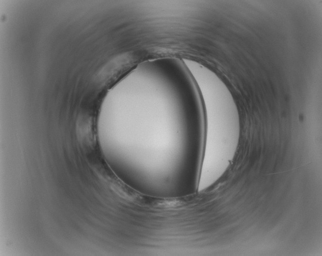 X0000077390428200610201019