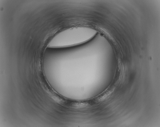 X0000077390453200610201019