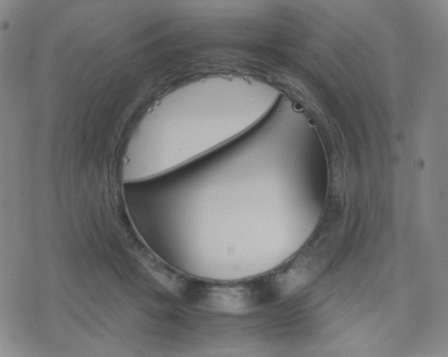X0000077390457200610201019