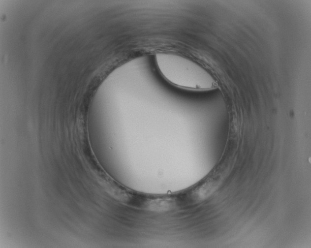 X0000077390461200610201019