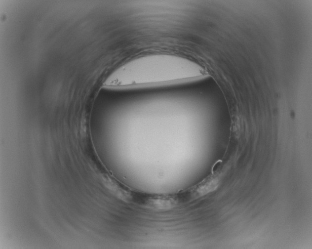 X0000077390466200610201019