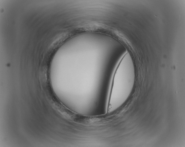X0000077390501200610201018