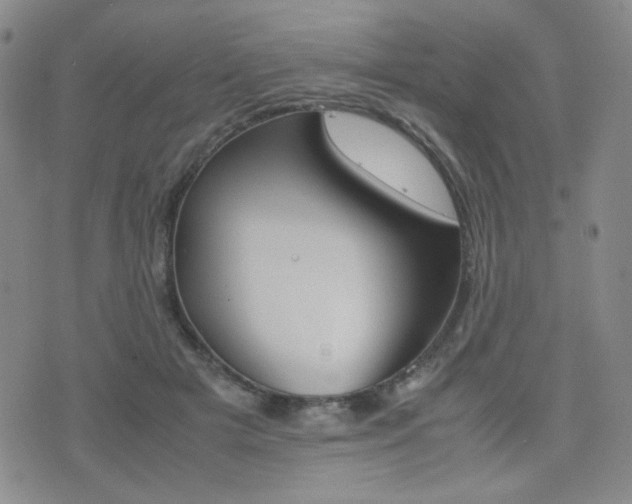 X0000077390505200610201018