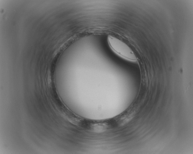 X0000077390508200610201018