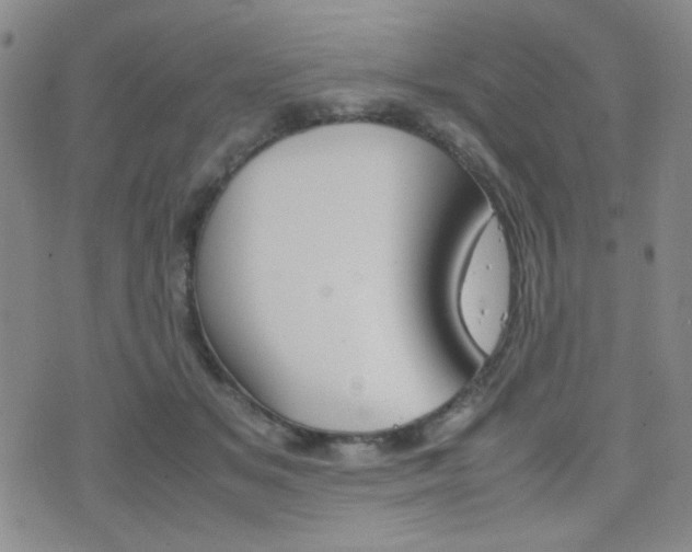 X0000077390509200610201018