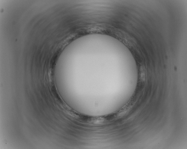 X0000077390514200610201018