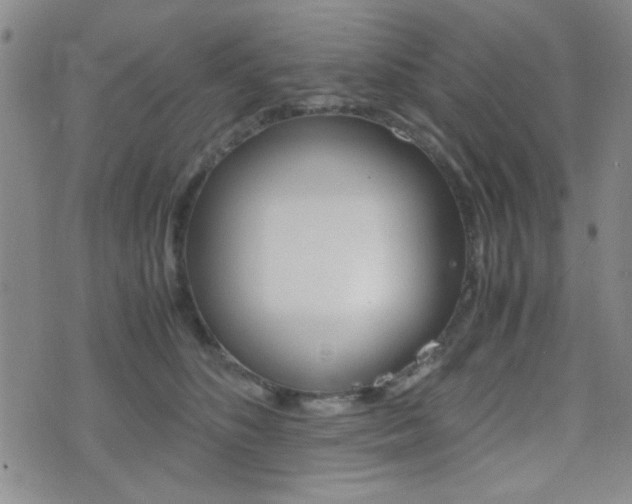 X0000077390516200610201018
