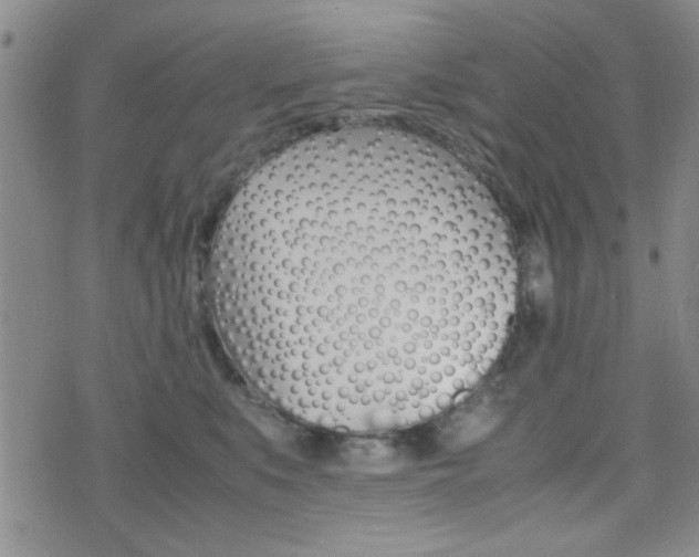 X0000077390519200610201018