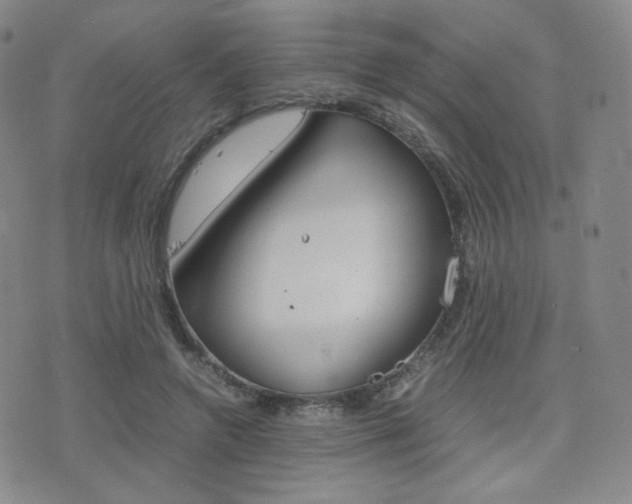X0000077390546200610201017