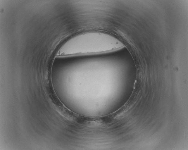 X0000077390548200610201017
