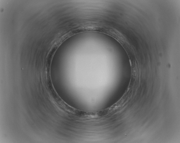 X0000077390552200610201017