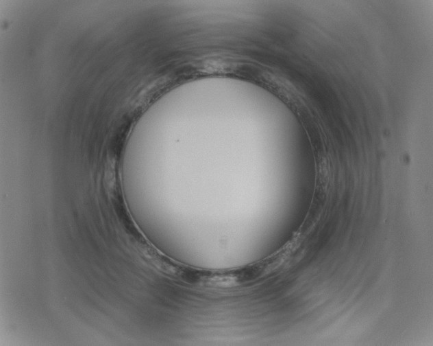 X0000077390554200610201017