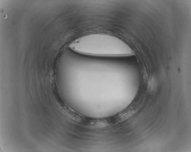 X0000077390559200610201017